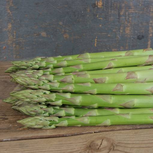 Ruokaparsa Aspalim juurakko 5 kpl/pkt - Erikoismarjat ja hyötykasvit - 353080 - 1