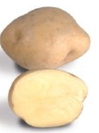 Peruna Timo 3 kg 40-55 - Siemenet ja sipulit - 6417486001300 - 1