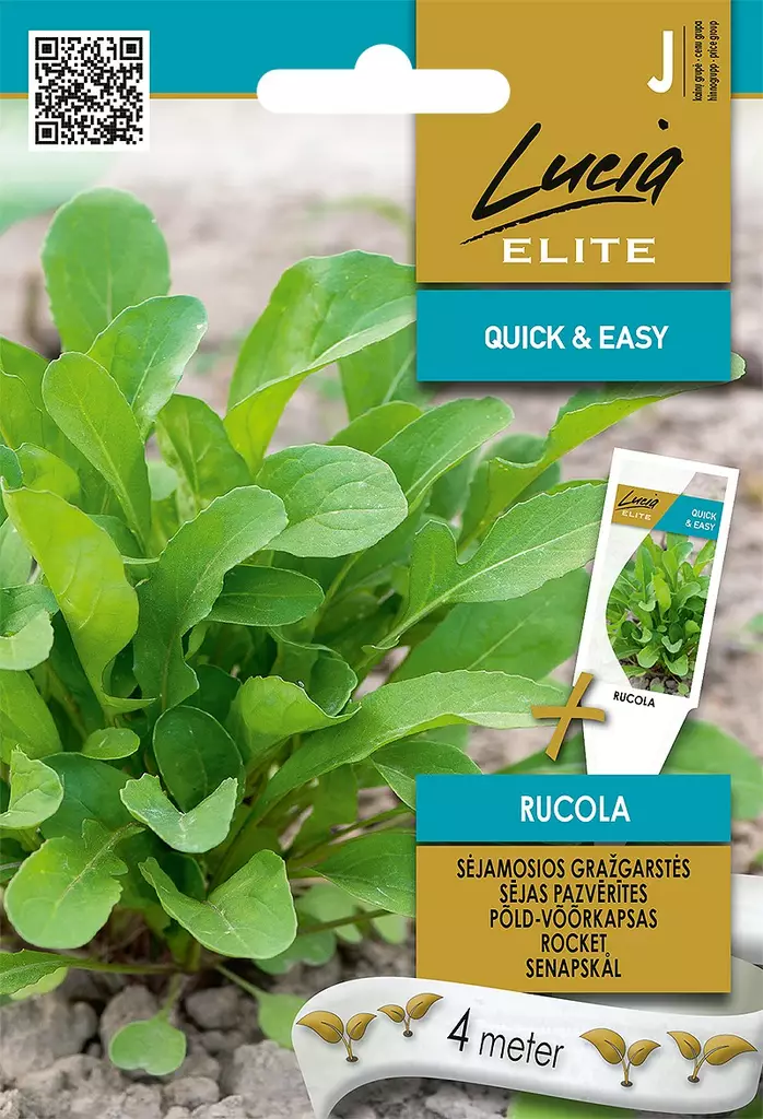 SINAPPIKAALI ELITE - Vihannesten ja yrttien siemenet - 4770168920590 - 0