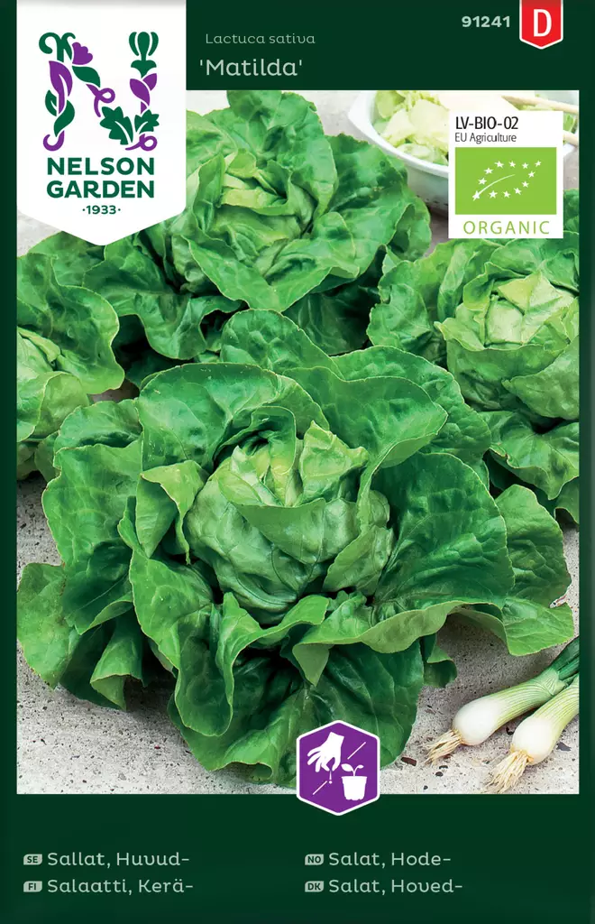 Salaatti, Kerä-, Matilda, Organic - Vihannesten ja yrttien siemenet - 7312600912410 - 0