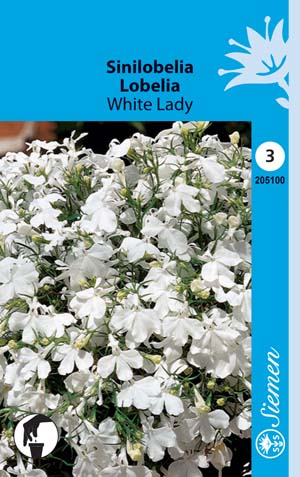 Sinilobelia White Lady annos - Kukkien ja koristeheinien siemenet - 6415152051000 - 1