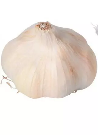 Valkosipuli Messidrome 40/50 100 g - Ruokasipulit - 127020 - 1