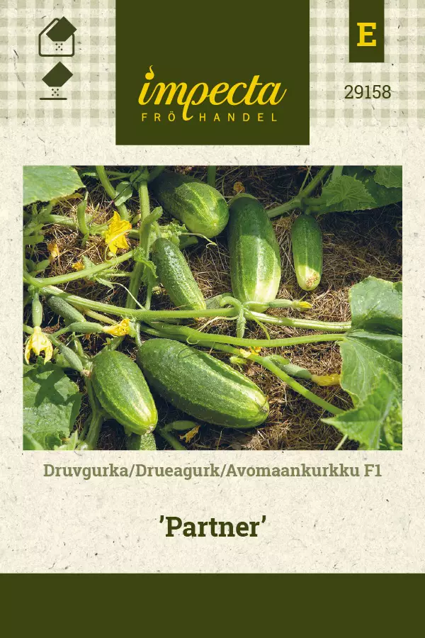 Avomaankurkku F1 Partner - Vihannesten ja yrttien siemenet - 7332756291580 - 0