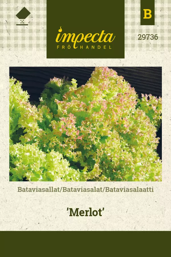Bataviasalaatti Merlot - Vihannesten ja yrttien siemenet - 7332756297360 - 0