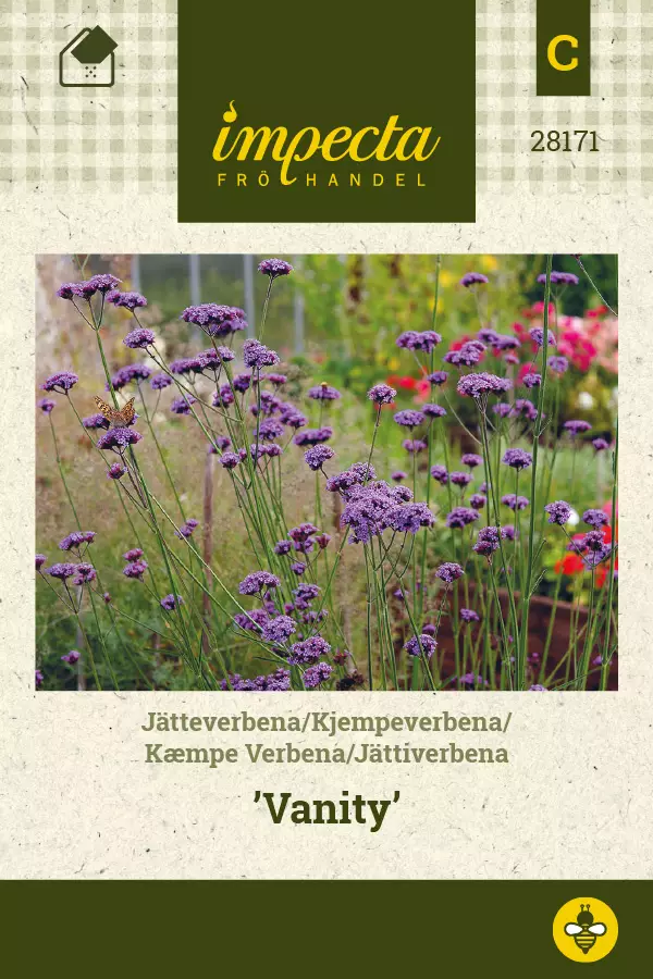 Jättiverbena Vanity - Kukkien ja koristeheinien siemenet - 7332756281710 - 0