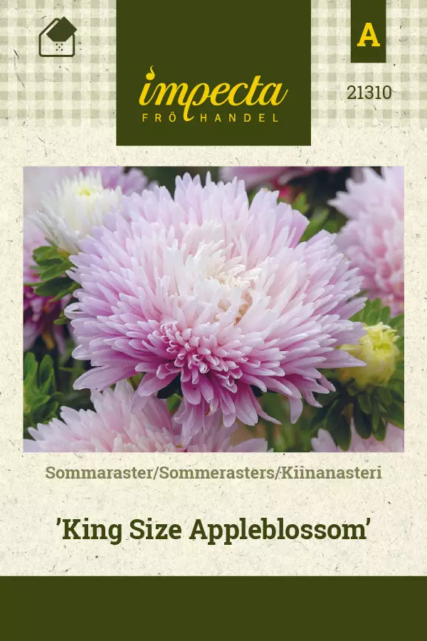 Kiinanasteri King Size Appleblossom - Kukkien ja koristeheinien siemenet - 7332756213100 - 0