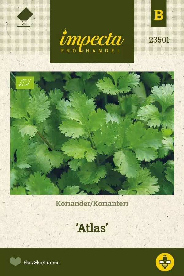 Korianteri Atlas - Kukkien ja koristeheinien siemenet - 7332756235010 - 0
