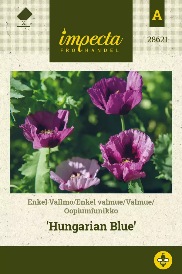 Oopiumiunikko Hungarian Blue - Kukkien ja koristeheinien siemenet - 7332756286210 - 0