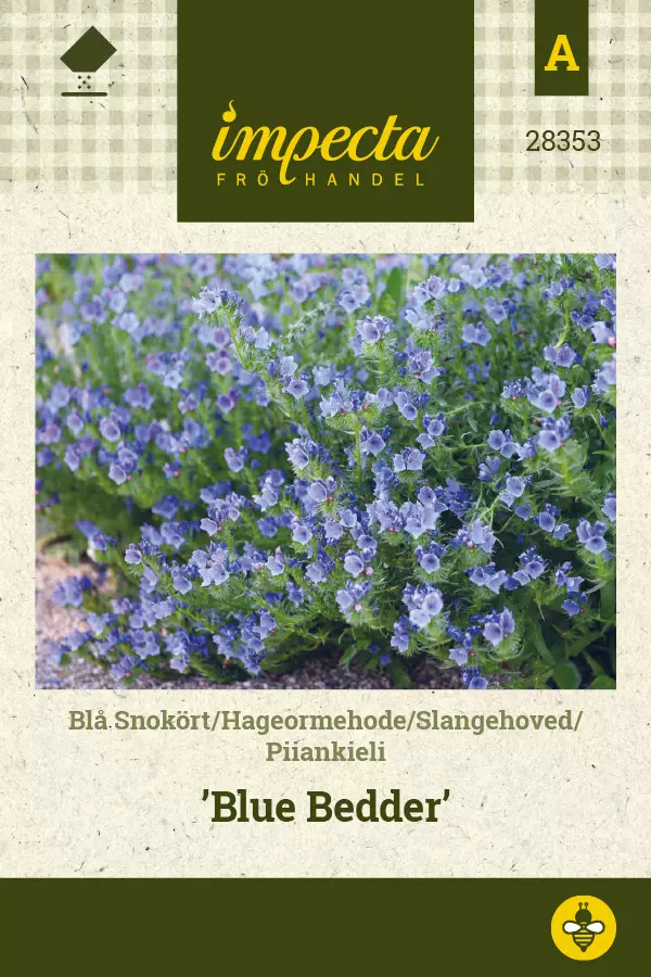 Piiankieli Blue Bedder - Kukkien ja koristeheinien siemenet - 7332756283530 - 0