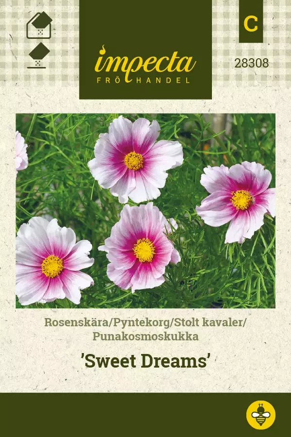 Punakosmoskukka Sweet Dreams - Kukkien ja koristeheinien siemenet - 7332756283080 - 0