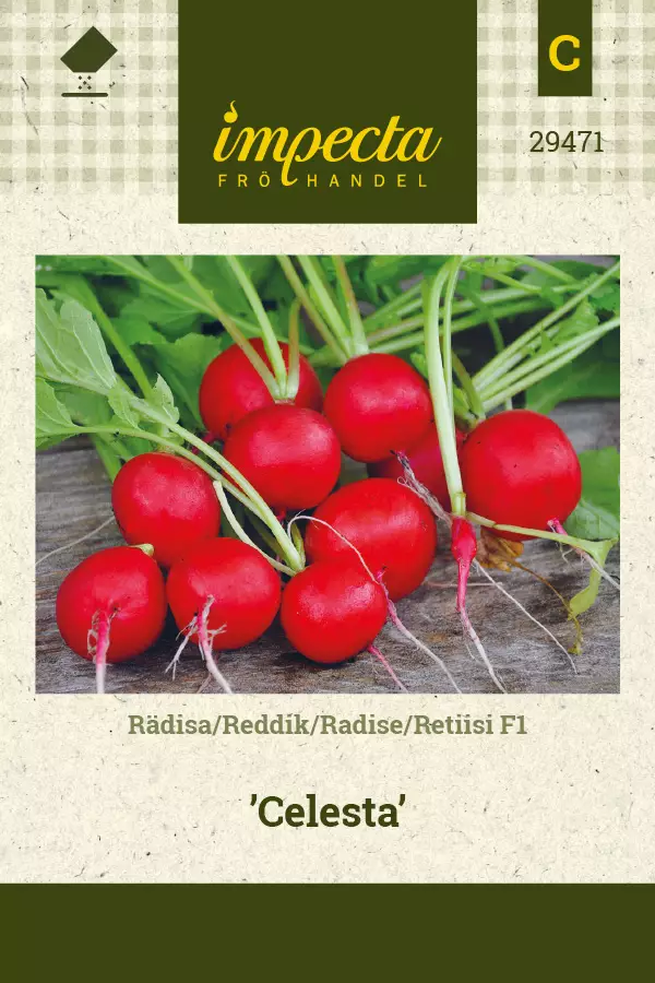 Retiisi F1 Celesta - Vihannesten ja yrttien siemenet - 7332756294710 - 0