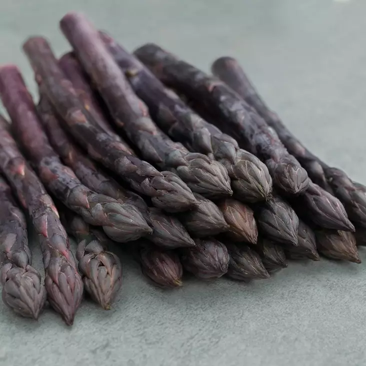 Ruokaparsa Erasmus juurakko 3 kpl/pkt - Erikoismarjat ja hyötykasvit - 353040 - 1