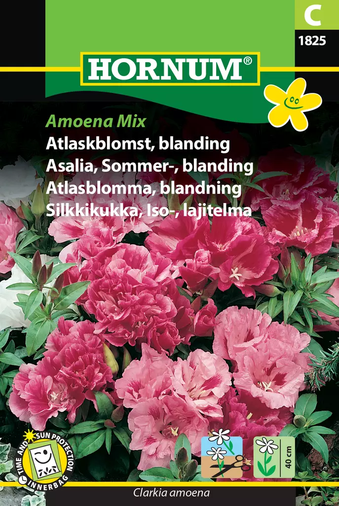 Silkkikukka, Iso-, lajitelma Amoena Mix - Kukkien ja koristeheinien siemenet - 5708787018250 - 0