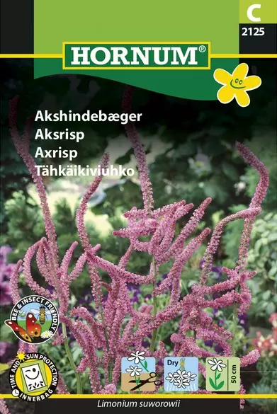 Tähkäikiviuhko - Kukkien ja koristeheinien siemenet - 5708787021250 - 1