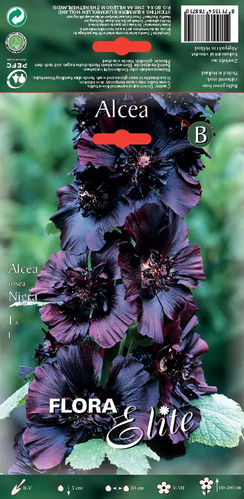 Tarhasalkoruusu Nigra 1 kpl/pkt - Perennajuurakot - 8711554788710 - 1