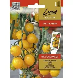 Tomaatti Elite Wild Galapagos - Vihannesten ja yrttien siemenet - 4770168928640 - 1