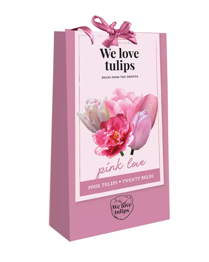 Tulppaanikassi Pink Love 20 kpl/pkt - Tulppaanit - 8712438754210 - 1