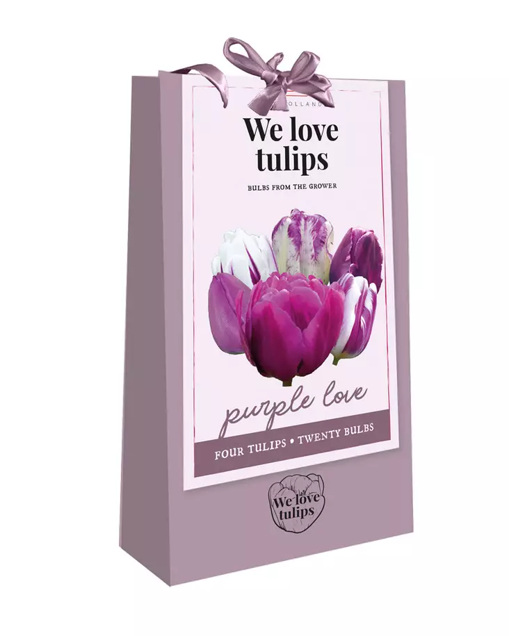 Tulppaanikassi Purple Love 20 kpl/pkt - Tulppaanit - 8712438754180 - 1