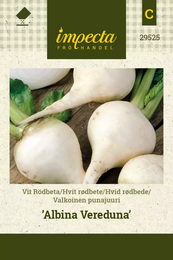 Valkoinen punajuuri Albina Vereduna - Vihannesten ja yrttien siemenet - 7332756295250 - 0