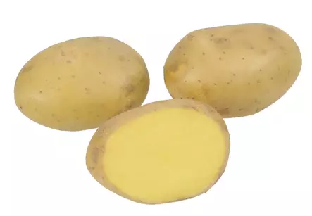 Peruna Lady Felicia 1 kg 30-55 mm - Siemenet ja sipulit - 6417486003731 - 1