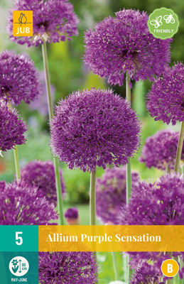 Ukkolaukka Purple Sensation 5 kpl/pkt - Laukat - 8712438517501 - 2