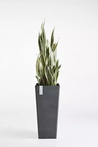 Ecopots Ruukku Rotterdam High 70 cm - Ecopots ruukut ja lautaset - 5411942747611 - 6