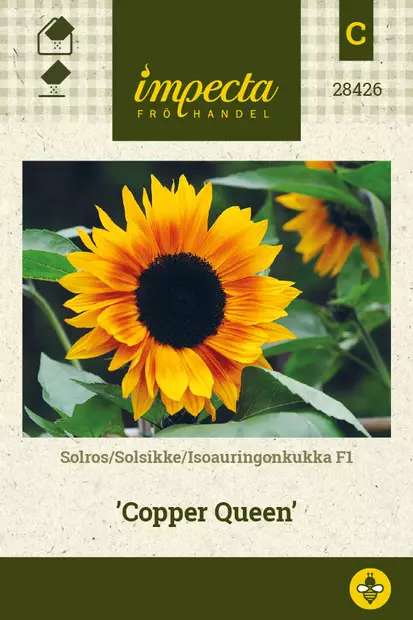 Isoauringonkukka F1 Copper Queen - Kukkien ja koristeheinien siemenet - 7332756284261 - 0