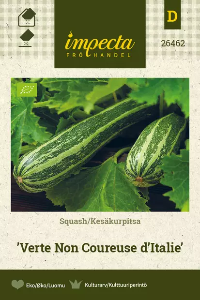 Kesäkurpitsa Verte Non Coureuse d´Italie - Vihannesten ja yrttien siemenet - 7332756264621 - 1