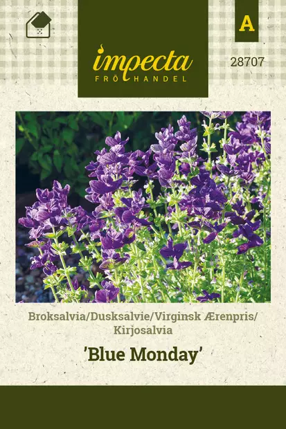 Kirjosalvia Blue Monday - Kukkien ja koristeheinien siemenet - 7332756287071 - 1