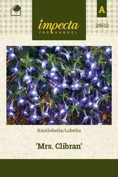 Lobelia Mrs. Clibran - Kukkien ja koristeheinien siemenet - 7332756285121 - 0