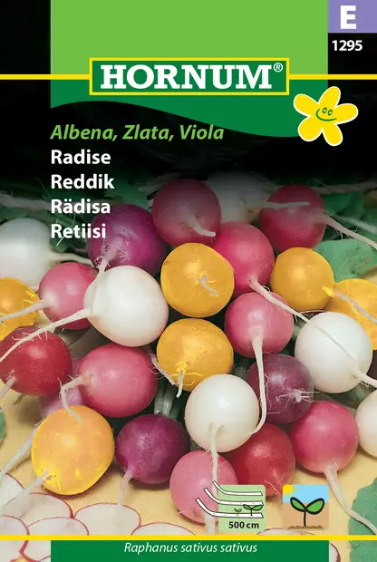 Retiisi Siemennauha, Albena, Zlata, Viol - Vihannesten ja yrttien siemenet - 5708787012951 - 0