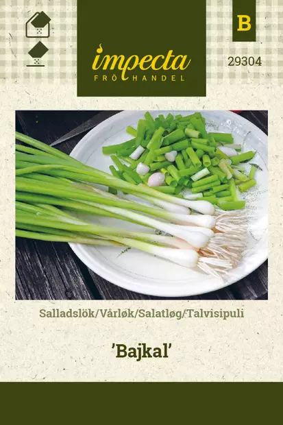 Talvisipuli Bajkal - Vihannesten ja yrttien siemenet - 7332756293041 - 0