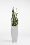 Ecopots Ruukku Rotterdam High 70 cm - Ecopots ruukut ja lautaset - 5413724303411 - 2