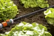 Gardena Tihkuletkusarja 15 m - Puutarhan ja kukkien kastelu - 4078500196901 - 1