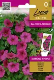 PETUNIA (SURFINIA) ELITE DIAMOND H PURPL - Kukkien ja koristeheinien siemenet - 4770168920521 - 0