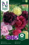 Salkoruusu, Tarha-, Summer Carnival - Kukkien ja koristeheinien siemenet - 7312600954281 - 2