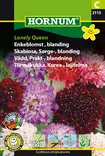 Törmäkukka, Korea-, lajitelma Lonely Que - Kukkien ja koristeheinien siemenet - 5708787021151 - 0
