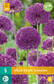Ukkolaukka Purple Sensation 5 kpl/pkt - Laukat - 8712438517501 - 2