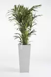 Ecopots Ruukku Rotterdam High 70 cm - Ecopots ruukut ja lautaset - 5413724303411 - 3