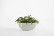 Ecopots Ruukku Sofia Wall 43 cm - Ecopots ruukut ja lautaset - 5413724304661 - 1