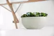 Ecopots Ruukku Sofia Wall 43 cm - Ecopots ruukut ja lautaset - 5413724304661 - 3