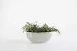 Ecopots Ruukku Sofia Wall 43 cm - Ecopots ruukut ja lautaset - 5413724304661 - 5