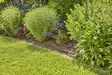Gardena MDS-kastelusarja S 4,6mm 15m - Puutarhan ja kukkien kastelu - 4078500018241 - 1