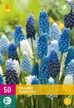 Helmilija Magic mix 50 kpl/pkt - Liljat - 8712438543821 - 2