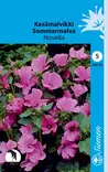Kesämalvikki Novella - Kukkien ja koristeheinien siemenet - 6415152031101 - 1