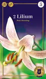Marhanlilja Pink Morning 2 kpl/pkt - Liljat - 8711148228851 - 1