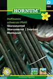 Mustajuuri Hoffmanns schwarzer Pfahl - Vihannesten ja yrttien siemenet - 5708787013231 - 0