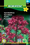 Punavirma - Kukkien ja koristeheinien siemenet - 5708787018731 - 0