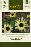 Ranta-auringonkukka Vanilla Ice - Kukkien ja koristeheinien siemenet - 7332756242711 - 1