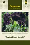 Sarviorvokki F1 Sorbet Black Delight - Kukkien ja koristeheinien siemenet - 7332756262771 - 0